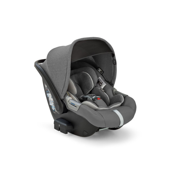 Inglesina sist.Electa s.d., nos., as Cab, ChelGrey