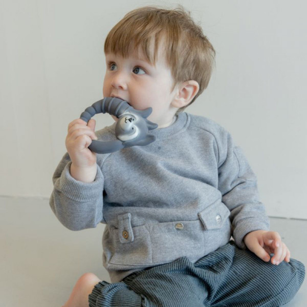 Natruba glodalica rakun, siva 