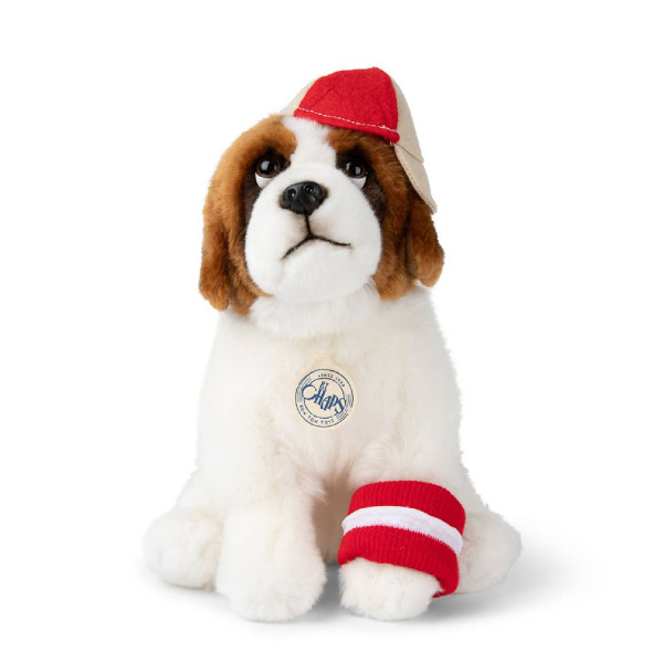 B.T.Chaps Herman bernandinac 32cm 