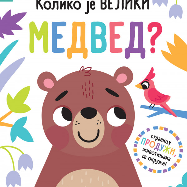 Publik Pr Povuci i otkrij-Koliko je veliki medved? 