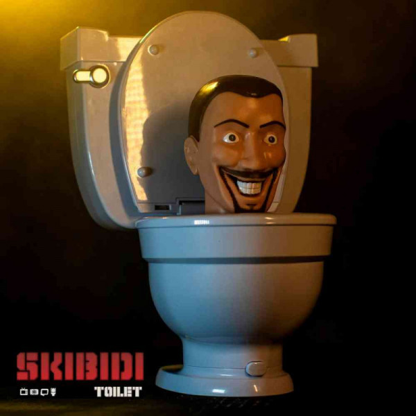 Skibidi toilet mystery surprise toilet