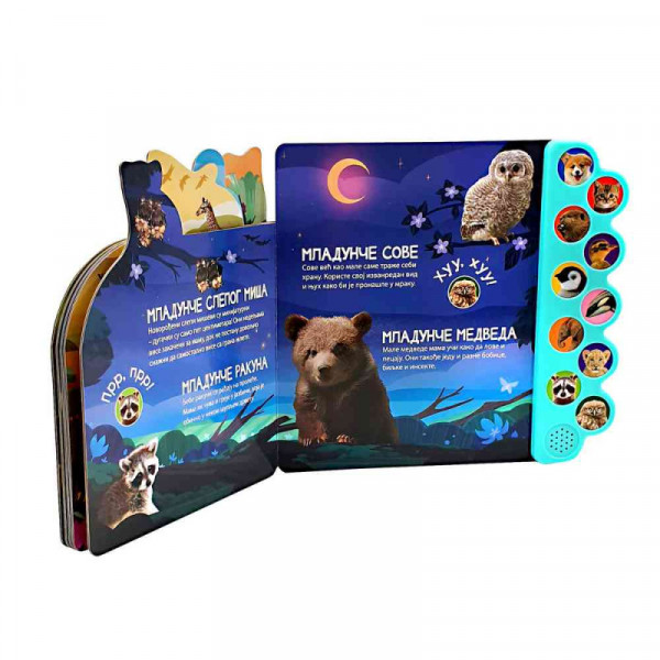 Dexy co Zvučna knjiga:Upoznajte bebe životinja 