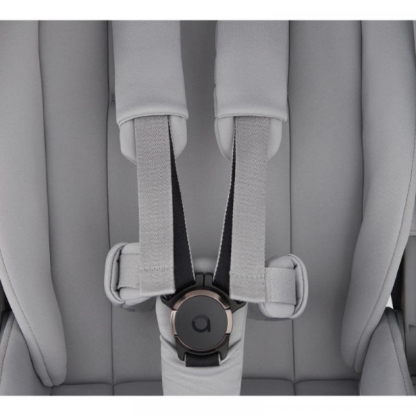 ANEX duo sistem Flo, Frossy 