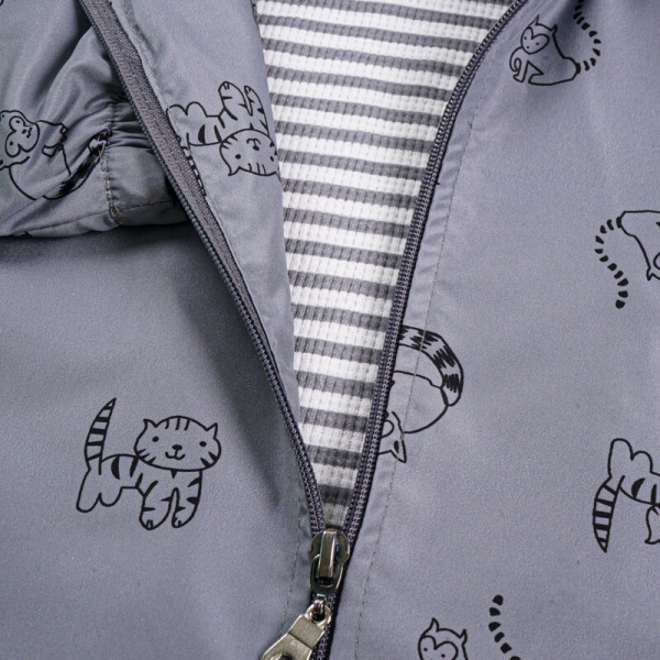 Lillo&Pippo jaknica, dečaci 