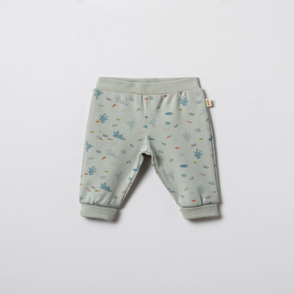 Baby Cosy pantalone bez stopica, set 2/1, unisex 