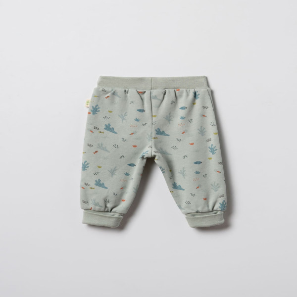 Baby Cosy pantalone bez stopica, set 2/1, unisex 