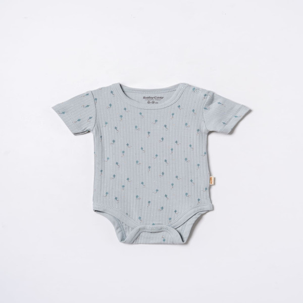 Baby Cosy bodi kr, set 2/1, dečaci 