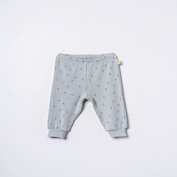 Baby Cosy pantalone bez stopica, set 2/1, dečaci 
