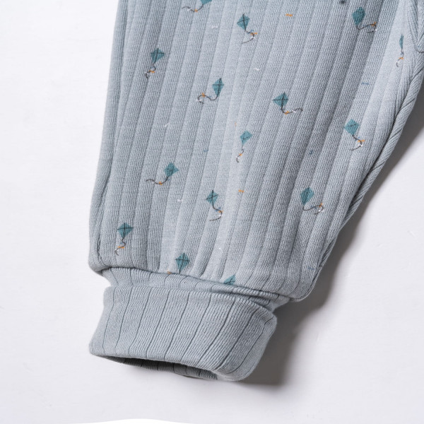 Baby Cosy pantalone bez stopica, set 2/1, dečaci 