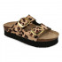 Grubin castellon Ž pap-platf tigar 40 1563600 