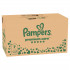 Pampers pelene Prem. Care monthly S7 15+kg 120kom 