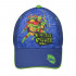 Stamion kačket Turtles, dečaci 