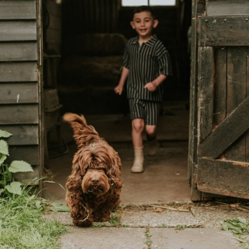 Koko Noko komplet 2/1 (majica kr, šorts), dečaci 