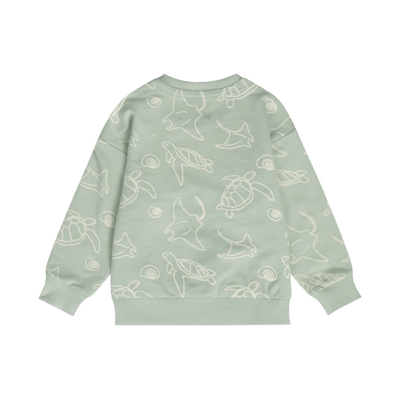 Dirkje duks, dečaci 