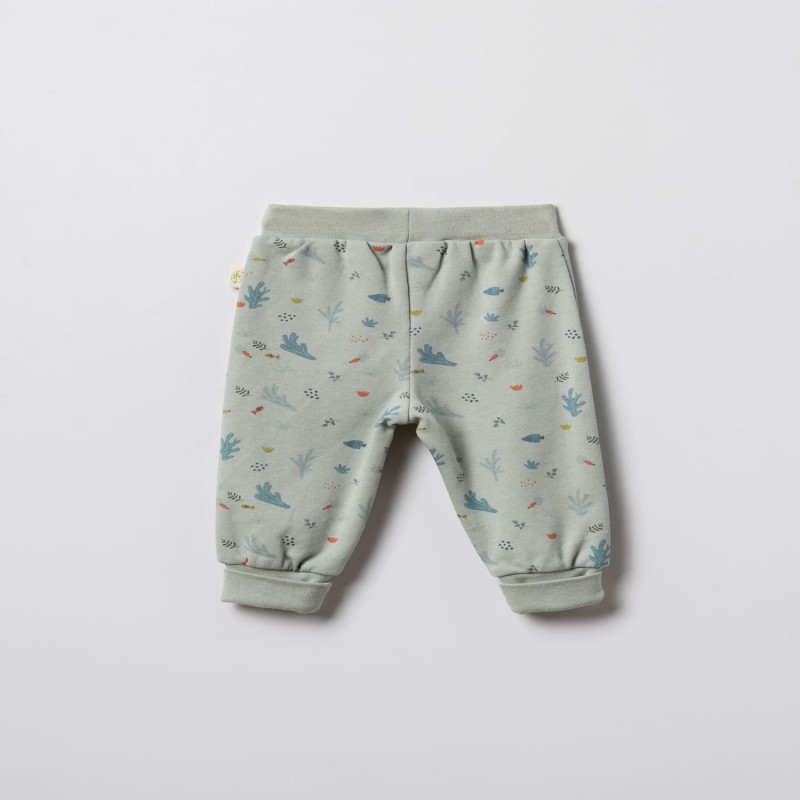 Baby Cosy pantalone bez stopica, set 2/1, unisex 