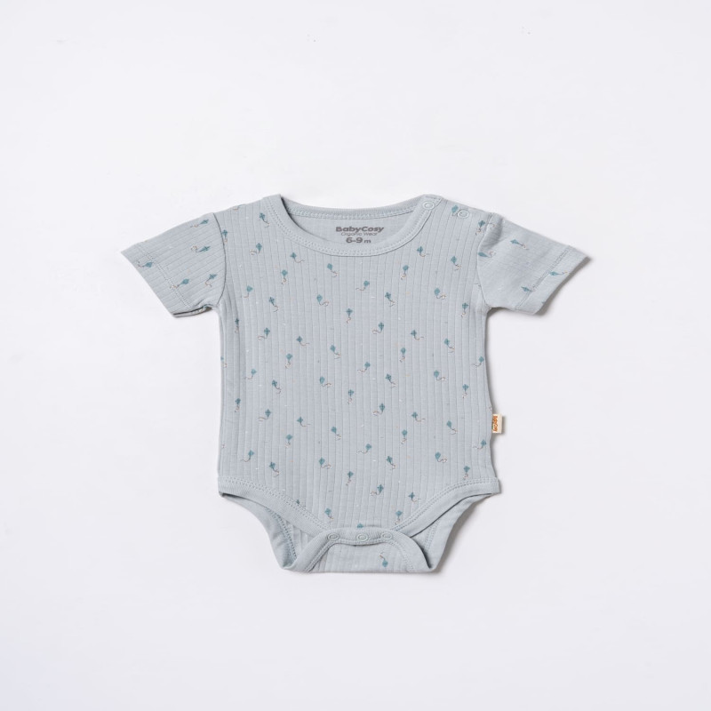 Baby Cosy bodi kr, set 2/1, dečaci 