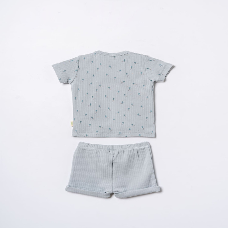 Baby Cosy komplet 2/1 (majica kr, šorts), dečaci 