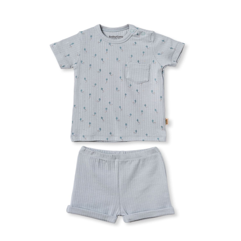 Baby Cosy komplet 2/1 (majica kr, šorts), dečaci 