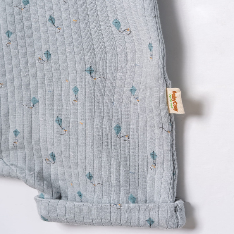 Baby Cosy zeka-šorts, set 2/1, dečaci 