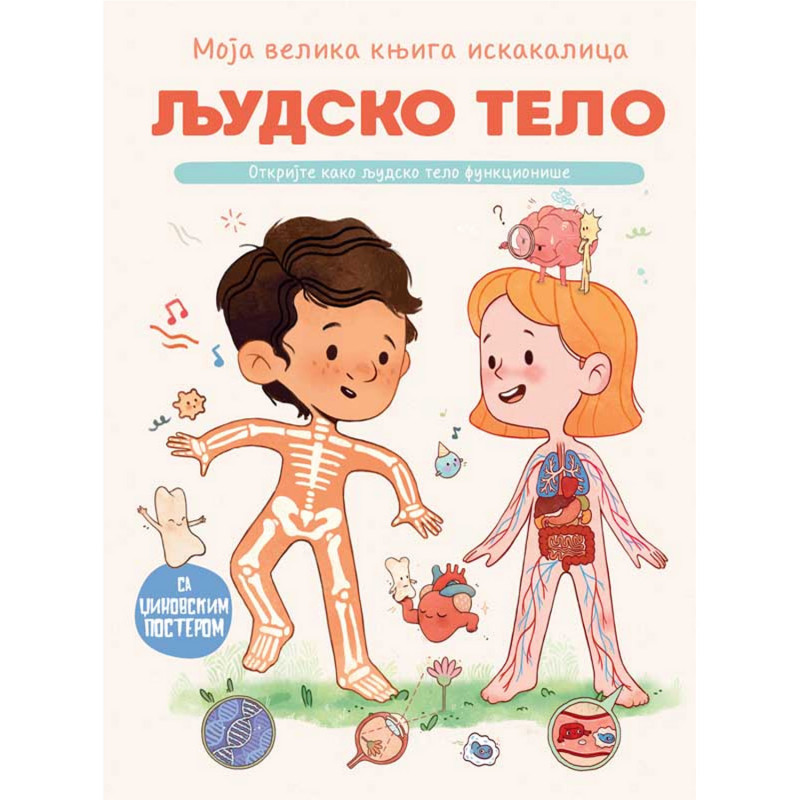 Moja velika knjiga iskakalica: Ljudsko telo 