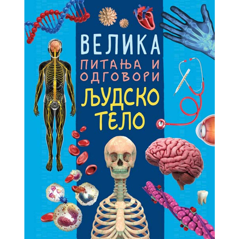 Velika pitanja i odgovori: Ljudsko telo 