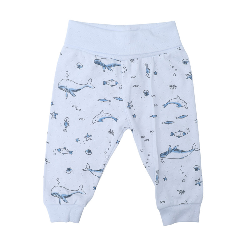 Lillo&Pippo bebi pantalone, dečaci 