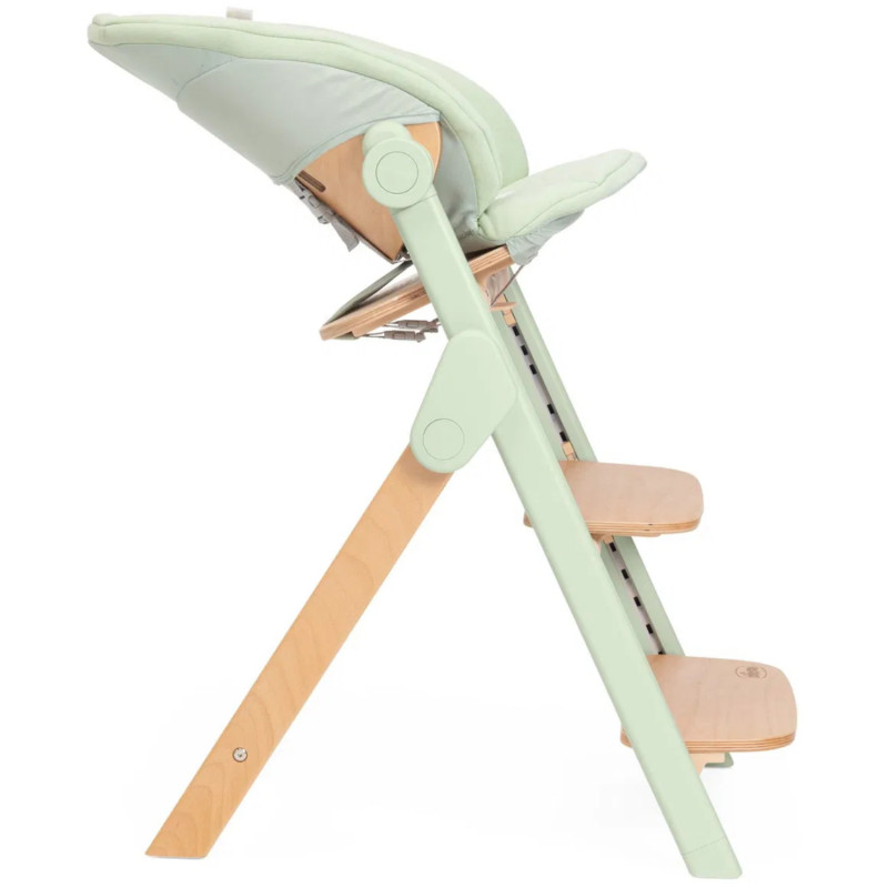 Chicco hranilica Meraviglia, Olive 