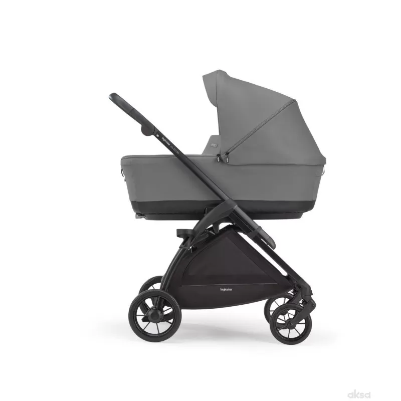Inglesina sist.Electa s.d., nos., as Cab, ChelGrey