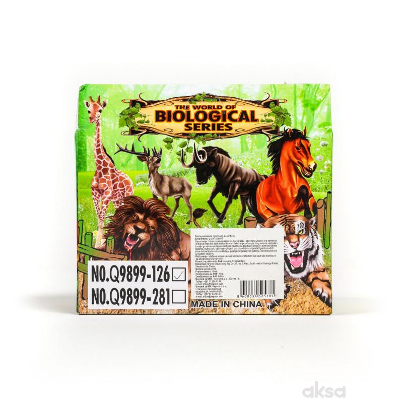 Qunsheng Toys, igračka safari displey