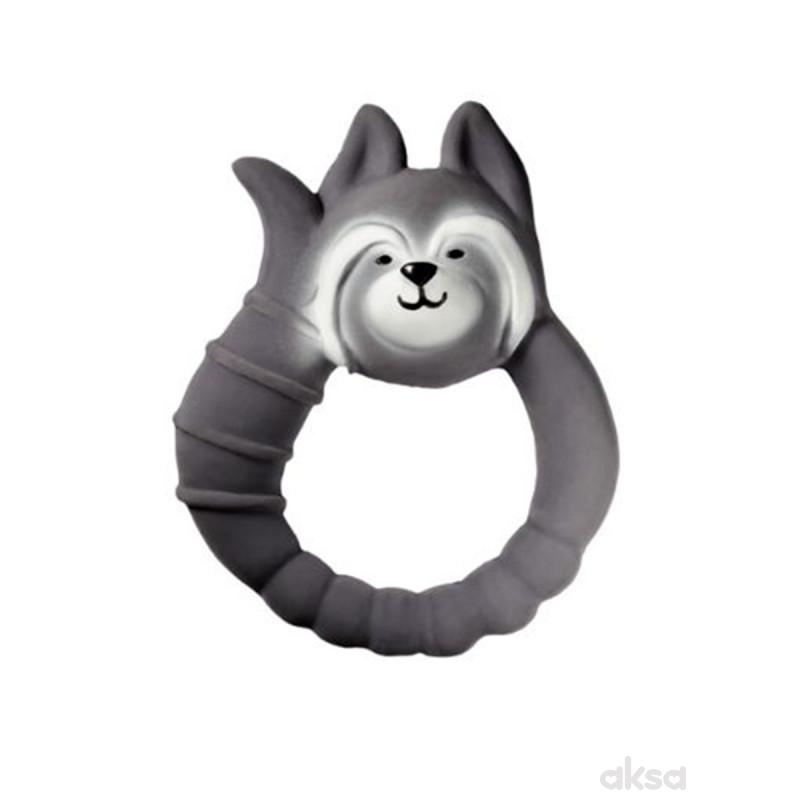 Natruba glodalica rakun, siva 