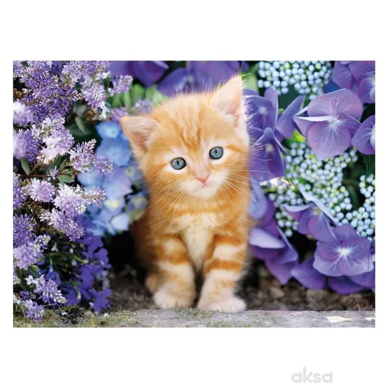 Clementoni puzzle 500 gattino rosso hqc
