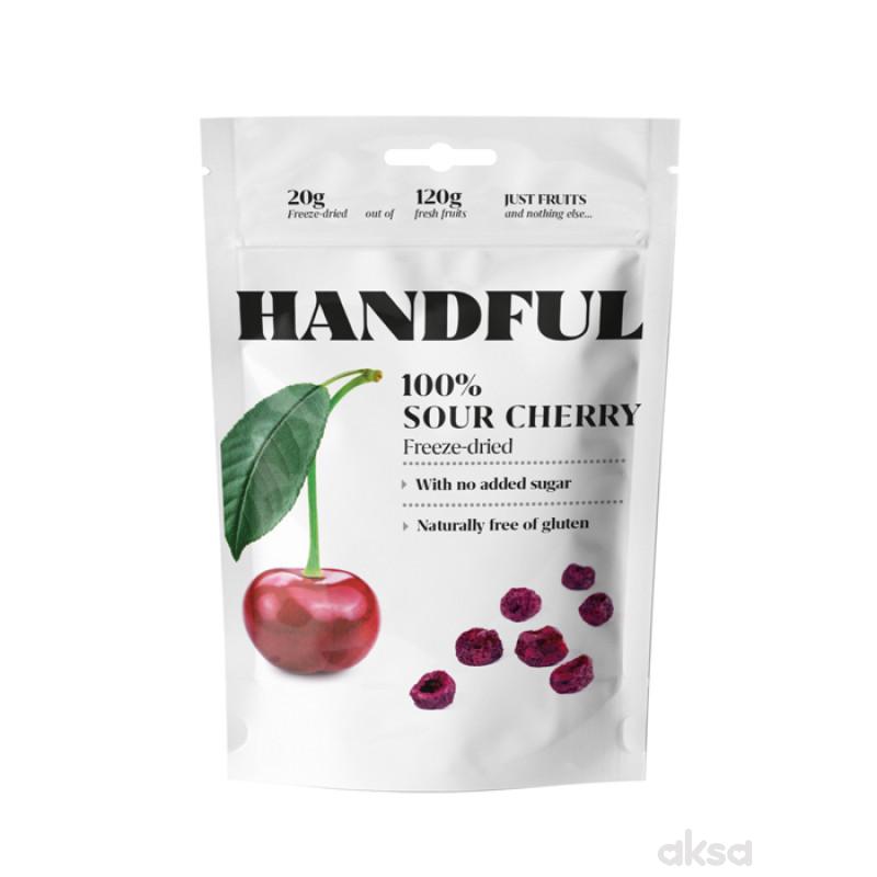 Handful sušena višnja 20g