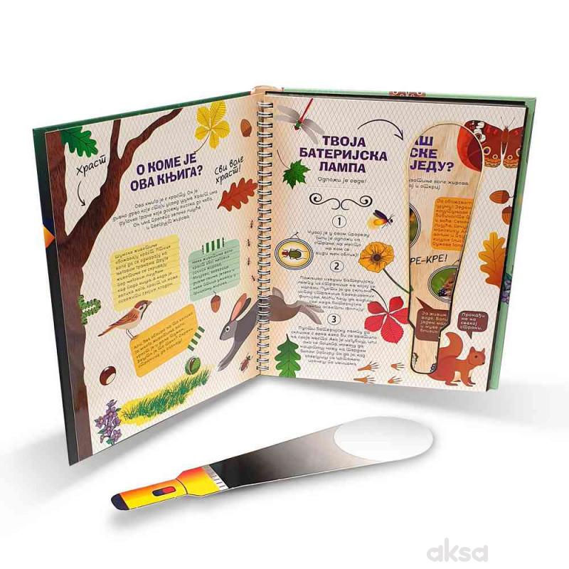 Dexy co Šunjanje po šumi 