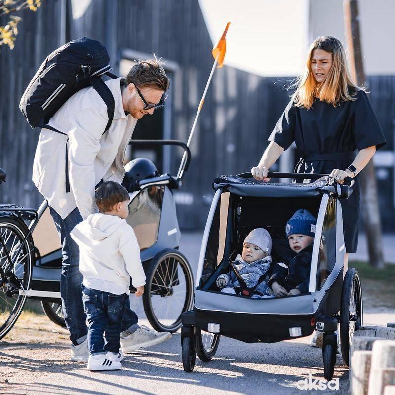 Thule priklolica/kolica Courier 2 N. Gold