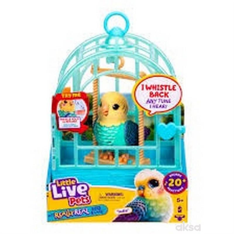 Llp Pticica I Kavez S2 