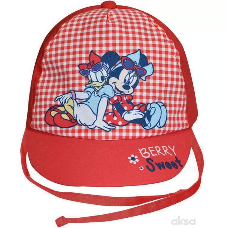 Stamion kačket Disney,dečaci
